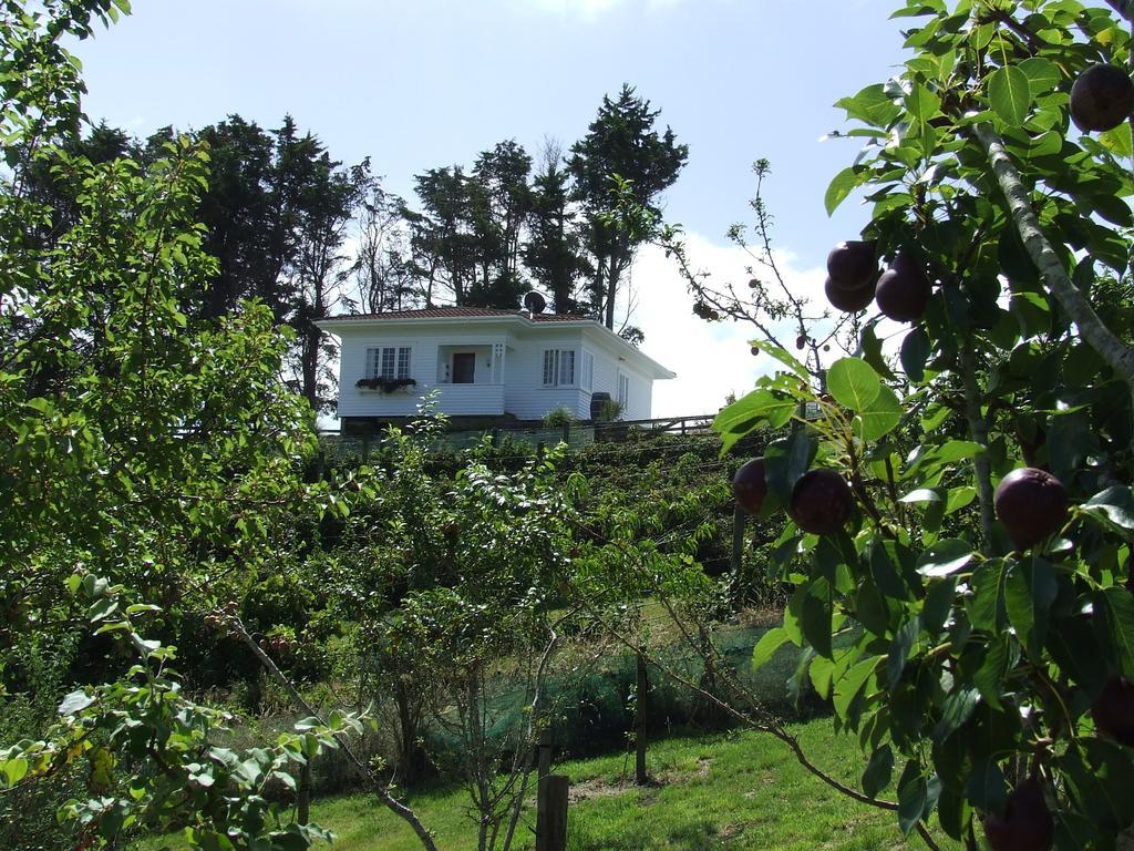Runciman Berries And Emus B&B Ramarama Exterior photo