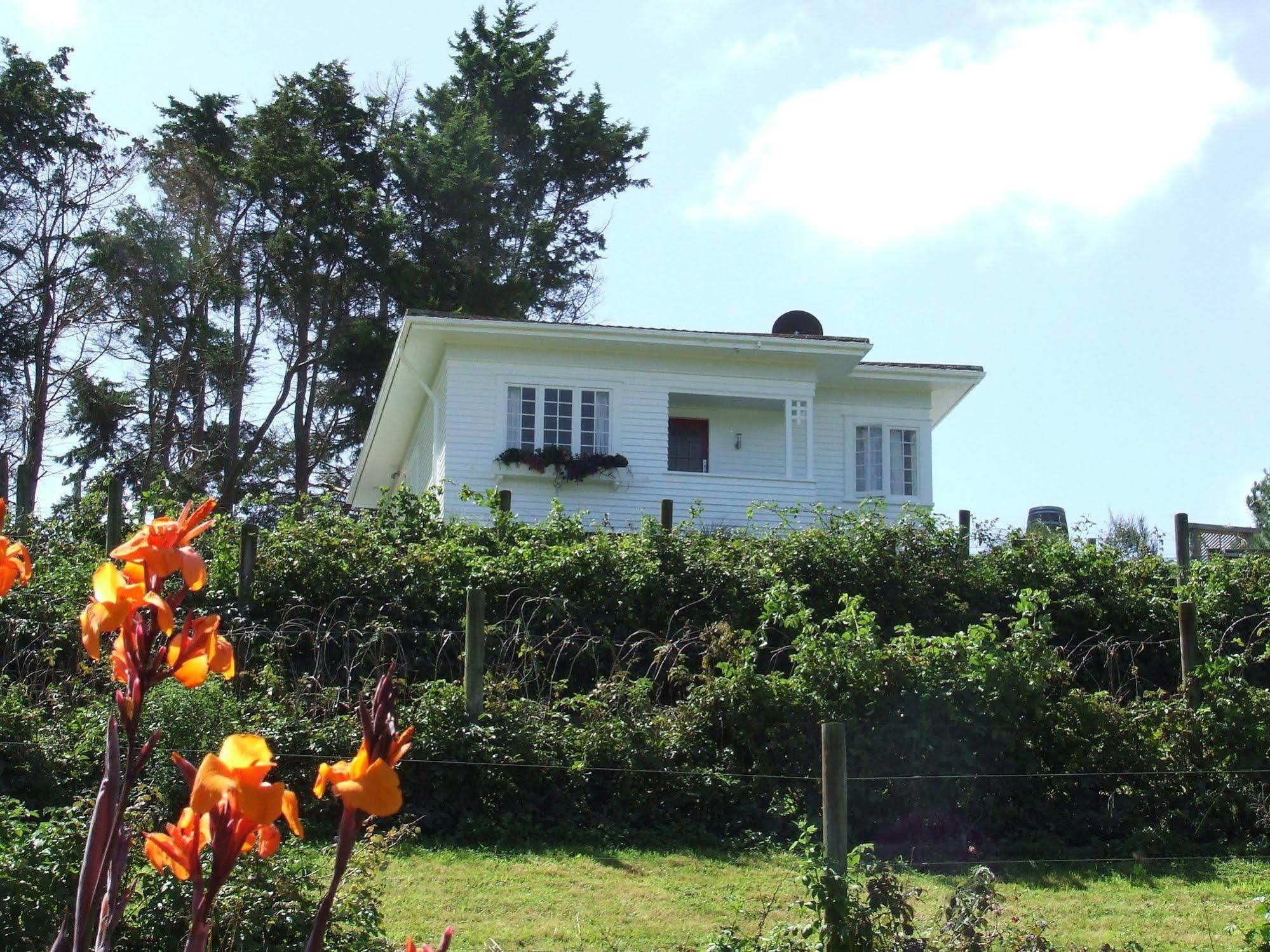 Runciman Berries And Emus B&B Ramarama Exterior photo